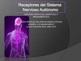 •SISTEMA NERVIOSO SIMPÁTICO Y
PARASIMPÁTICO
•¿Qué diferencia hay entre el sistema nervioso
simpático y el parasimpático?
•¿Qué funciones tiene cada uno?
 
