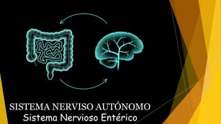 El nervio vago (X)
tiene la distribución
mas amplia del SNP,
siendo responsable
del 75% de la
actividad
parasimpática.
SISTEMA NERVISO AUTÓNOMO
Sistema Nervioso Entérico
 