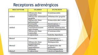 Receptores adrenérgicos
 