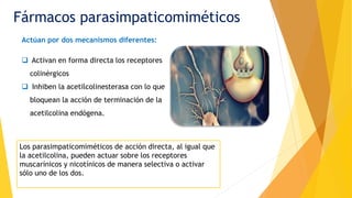 Fármacos parasimpaticomiméticos
Actúan por dos mecanismos diferentes:
 Activan en forma directa los receptores
colinérgicos
 Inhiben la acetilcolinesterasa con lo que
bloquean la acción de terminación de la
acetilcolina endógena.
Los parasimpaticomiméticos de acción directa, al igual que
la acetilcolina, pueden actuar sobre los receptores
muscarínicos y nicotínicos de manera selectiva o activar
sólo uno de los dos.
 