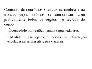 Conjunto de neurônios situados na medula e no tronco, cujos axônios se comunicam com praticamente todos os órgãos  e tecidos do corpo. É controlado por regiões neurais supramedulares. Modula a sua operação através de informações veiculadas pelas vias aferentes viscerais 
