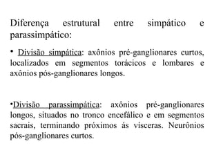 Diferença estrutural entre simpático e parassimpático: Divisão simpática : axônios pré-ganglionares curtos, localizados em segmentos torácicos e lombares e axônios pós-ganglionares longos. Divisão parassimpática : axônios pré-ganglionares longos, situados no tronco encefálico e em segmentos sacrais, terminando próximos ás vísceras. Neurônios pós-ganglionares curtos. 