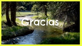 Gracias
 