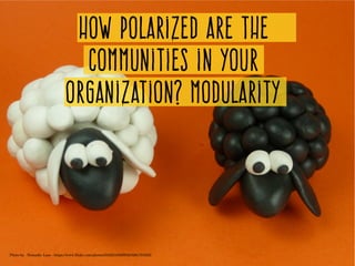 How polarized are the
communities in your
organization? Modularity
Photo by   Nomadic Lass ­ https://www.flickr.com/photos/53323105@N02/8261781925/
 