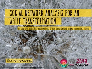 Social network analysis for an
agile transformation
@antoniolopezg
Or how some properties and functions of our organizations depend on invisible things
Photo by  Jan Gottweiß ­ https://www.flickr.com/photos/38627855@N07/5650062049/
 