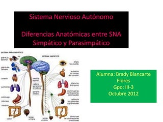 Sistema Nervioso Autónomo

Diferencias Anatómicas entre SNA
    Simpático y Parasimpático



                       Alumna: Brady Blancarte
                               Flores
                             Gpo: III-3
                           Octubre 2012
 