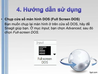 • Chụp cửa sổ màn hình DOS (Full Screen DOS) 
Bạn muốn chụp lại màn hình ở trên cửa sổ DOS, hãy để 
Snagit giúp bạn. Ở mục Input, bạn chọn Advanced, sau đó 
chọn Full-screen DOS. 
 