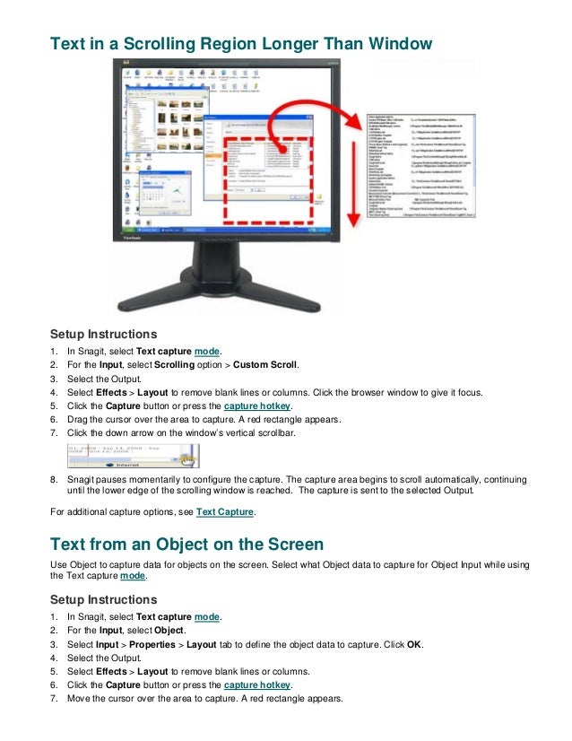 snagit 8 remove magnifier