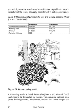 Snail Farming64
wet and dry seasons, which may be attributable to problems such as
the nature of the source of supply, poor storability and excessive price.
Table 4: Nigerian snail prices in the wet and the dry seasons (1 US
$ = N127.50 in 2007)
Wet season Dry season
Snail marketing gross return N28,175 N43,680
Marketing costs N25,940 N40,630
Net return N 2,235 N 3,050
Marketing efficiency 1.09 1.08
Figure 24: Woman selling snails
A marketing study in South Benin (Sodjinou et al.) showed GALS
marketing to be dominated by women. The marketing network com-
prised hunter-gatherers, wholesalers, and dealers. Gross margin was
 