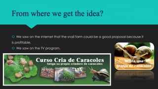 From where we get the idea?
 We saw on the internet that the snail farm could be a good proposal because it
is profitable.
 We saw on the TV program.
 