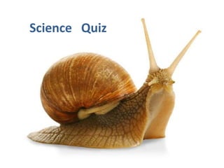Science Quiz
 