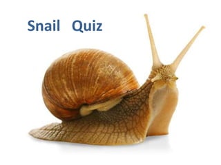 Snail Quiz
 