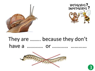 They are …….. because they don’t
have a ………… or ………… …………
 