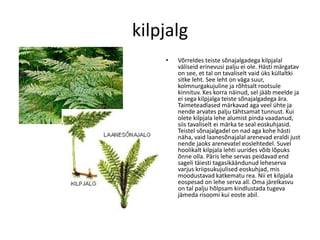 Samblad Sõnajalgtaimed | PDF