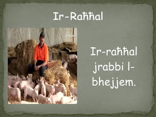 Ir-raħħal
jrabbi l-
bhejjem.
 