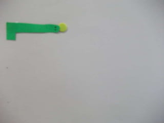 Snake, summer stop motion