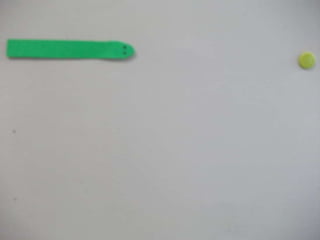 Snake, summer stop motion