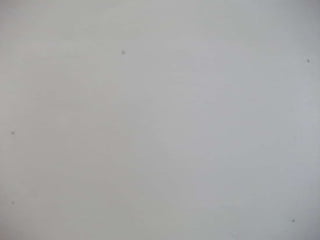 Snake, summer stop motion