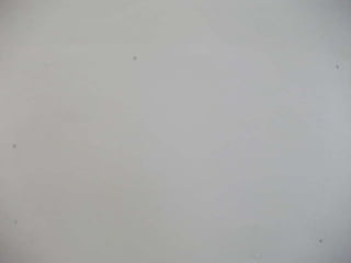 Snake, summer stop motion