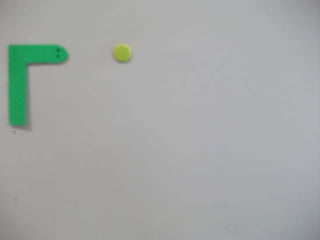 Snake, summer stop motion