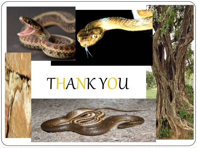 snake by d h lawrence Can you please help me the following are the lines from the poem 'snake' written by dhlawrence and i wished he would come back, my snake. snake by d h lawrence Can you please help me the following are the lines from the poem 'snake' written by dhlawrence and i wished he would come back, my snake.