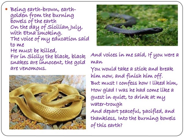 snake by d h lawrence Can you please help me the following are the lines from the poem 'snake' written by dhlawrence and i wished he would come back, my snake. snake by d h lawrence Can you please help me the following are the lines from the poem 'snake' written by dhlawrence and i wished he would come back, my snake.