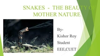 SNAKES - THE BEAUTY OF
MOTHER NATURE.
By-
Kishor Roy
Student
EEE,CUET
 
