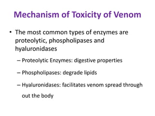 Mechanism of Toxicity of Venom
• The most common types of enzymes are
proteolytic, phospholipases and
hyaluronidases
– Proteolytic Enzymes: digestive properties
– Phospholipases: degrade lipids
– Hyaluronidases: facilitates venom spread through
out the body
 