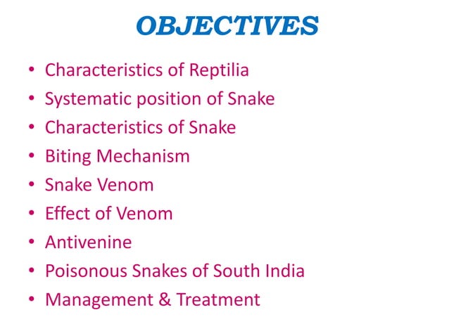 Snake | PPT | Chemistry | Science
