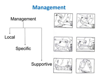 Management
Management
Local
Specific
Supportive
 