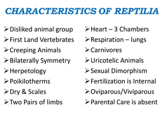 CHARACTERISTICS OF REPTILIA
Disliked animal group
First Land Vertebrates
Creeping Animals
Bilaterally Symmetry
Herpetology
Poikilotherms
Dry & Scales
Two Pairs of limbs
Heart – 3 Chambers
Respiration – lungs
Carnivores
Uricotelic Animals
Sexual Dimorphism
Fertilization is Internal
Oviparous/Viviparous
Parental Care is absent
 