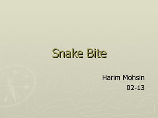 Snake Bite Harim Mohsin 02-13 