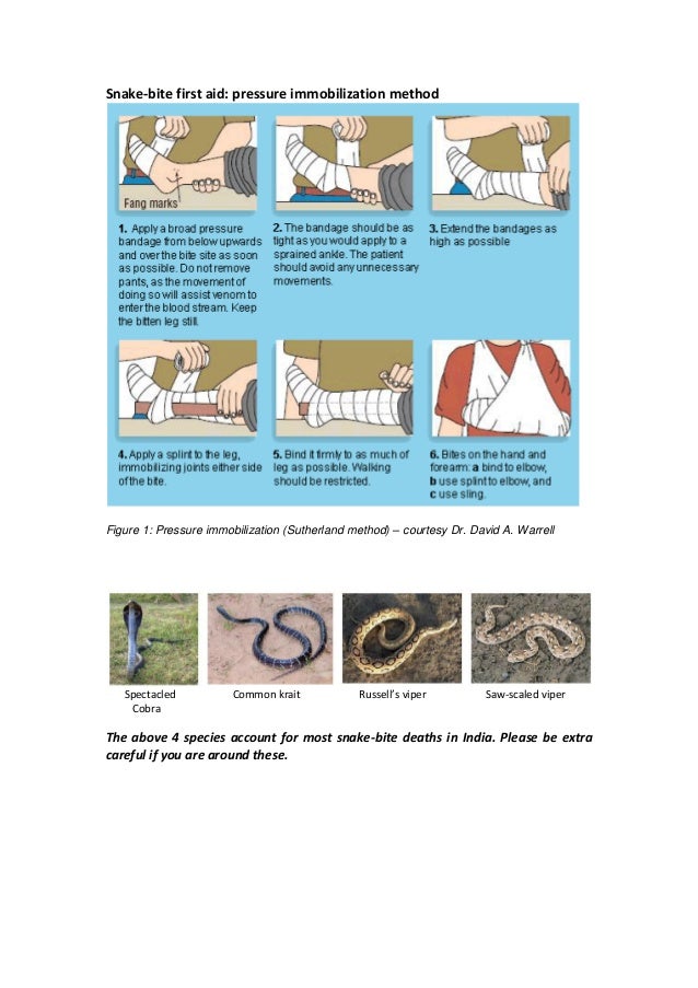 Snake bite first aid INDIA