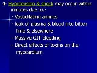 4-  Hypotension & shock  may occur within  minutes due to:- - Vasodilating amines - leak of plasma & blood into bitten  limb & elsewhere - Massive GIT bleeding - Direct effects of toxins on the myocardium 
