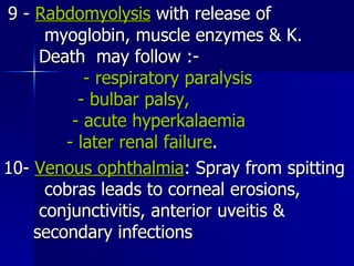 9 -  Rabdomyolysis  with release of  myoglobin, muscle enzymes & K.  Death  may follow :-  - respiratory paralysis  - bulbar palsy,  - acute hyperkalaemia  - later renal failure . 10-  Venous ophthalmia : Spray from spitting  cobras leads to corneal erosions,  conjunctivitis, anterior uveitis &  secondary infections 