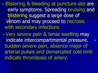 -  Blistering & bleeding at puncture site  are  early symptoms. Spreading  bruising  and  blistering  suggest a large dose of  venom and may proceed to  necrosis  with   secondary infections .  -  Very severe pain & tense swelling  may  indicate intercompartmental pressure.  -  Sudden severe pain, absence major of  arterial pulses   and demarcated cold limb  indicate thrombosis of artery.   