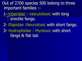 Out of 2700 species 500 belong to three  important families :- 1-  Viperidae  :  vasculotoxic  with long  erectile fangs.  2-  Elapidae  : Neurotoxic  with short fangs. 3-  Hydrophidae  :  Myotoxic  with short  fangs & flat tail.   