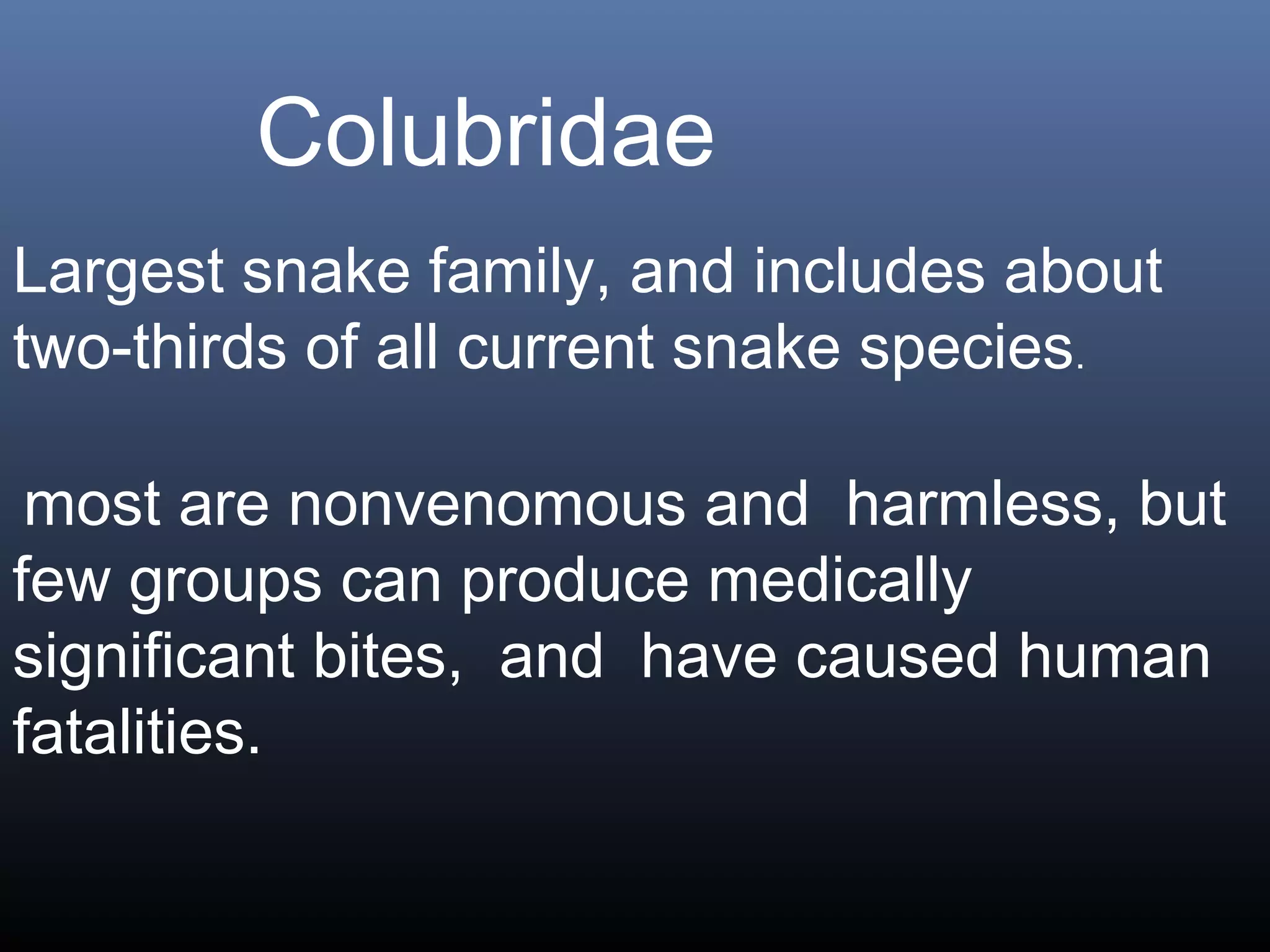 Colubridae
Largest snake family, and includes about
two-thirds of all current snake species.

 most are nonvenomous and harmless, but
few groups can produce medically
significant bites, and have caused human
fatalities.
 