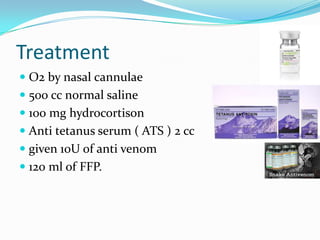 Treatment
 O2 by nasal cannulae
 500 cc normal saline
 100 mg hydrocortison
 Anti tetanus serum ( ATS ) 2 cc
 given 10U of anti venom
 120 ml of FFP.

 