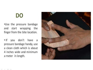 Snake bite First Aid