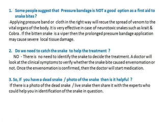 Snake bite First Aid