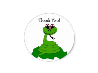 Snake bite First Aid