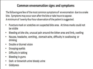 Snake bite First Aid