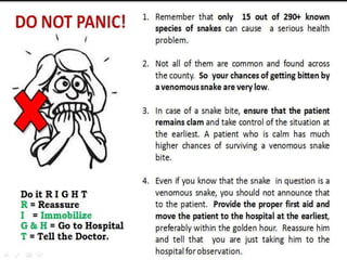 Snake bite First Aid