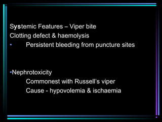 Snakebite PPT snakebite-ppt