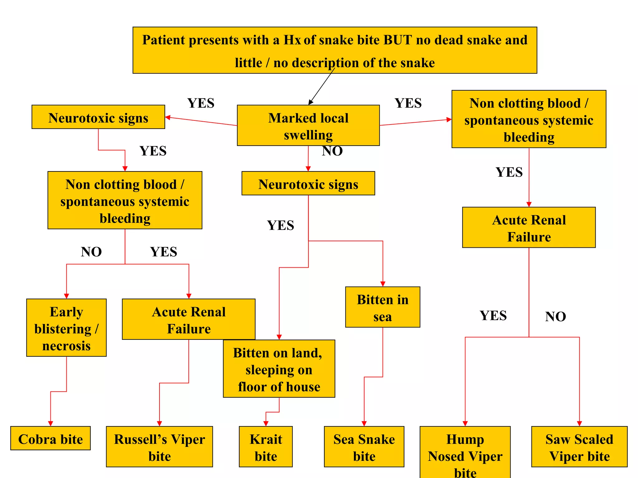 Patient presents with a Hx of snake bite BUT no dead snake and
little / no description of the snake
Acute Renal
Failure
YES
Early
blistering /
necrosis
NO
Cobra bite Russell’s Viper
bite
Marked local
swelling
Neurotoxic signs
YES Non clotting blood /
spontaneous systemic
bleeding
YES
Neurotoxic signs
NO
Bitten in
sea
Krait
bite
Sea Snake
bite
Bitten on land,
sleeping on
floor of house
YES
Hump
Nosed Viper
bite
YES
Saw Scaled
Viper bite
NO
Acute Renal
Failure
YES
Non clotting blood /
spontaneous systemic
bleeding
YES
 