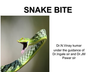SNAKE BITESNAKE BITE
Dr.N.Vinay kumar
under the guidance of
Dr.Ingale sir and Dr.JM
Pawar sir
 