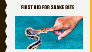 FIRST AID FOR SNAKE BITE
 