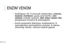 • Fosfolipase-A2  merusak mitokondria, eritrosit,
leukosit, trombosit, ujung saraf perifer, otot
skeletal, endotel vaskular, efek sedasi opiate-like,
pengeluaran histamin & antikoagulan
• Enzim proteolitik (hidrolase, kardiotoksin) 
meningkatkan permeabilitas vaskular  edema,
blistering, memar, nekrosis daerah gigitan
ENZIM VENOM
WHO, 2010.
 