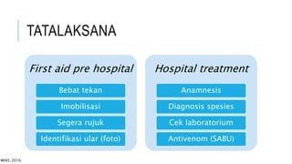TATALAKSANA
First aid pre hospital
Bebat tekan
Imobilisasi
Segera rujuk
Identifikasi ular (foto)
Hospital treatment
Anamnesis
Diagnosis spesies
Cek laboratorium
Antivenom (SABU)
WHO, 2016.
 